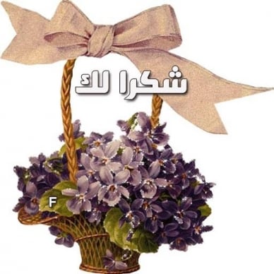 شكرا لك