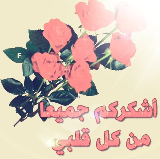 شكرا لكل من سأل عني في وعكتي الصحية