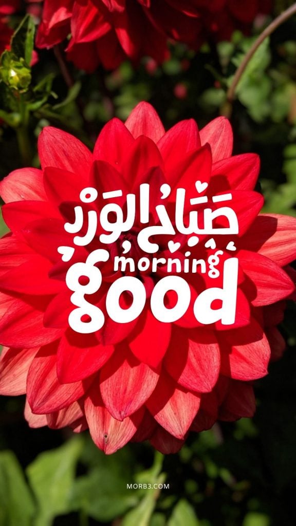 صباح الحب حبيبي