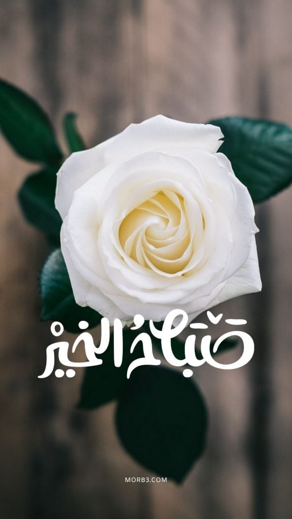 صباح الحب حبيبي