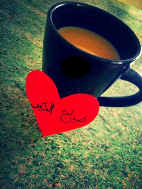 صباح الحب شعر