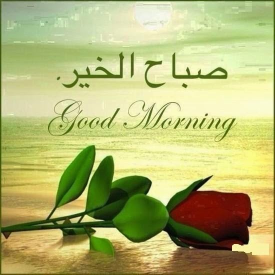 صباح الحب شعر