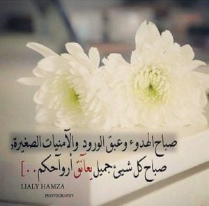 صباح الحب والرومانسية