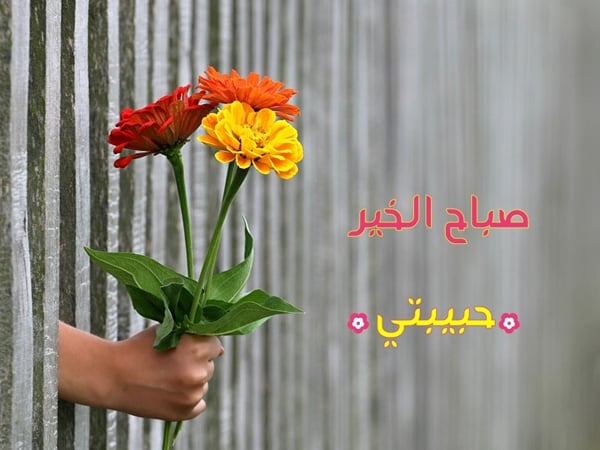 صباح الحب والسعادة