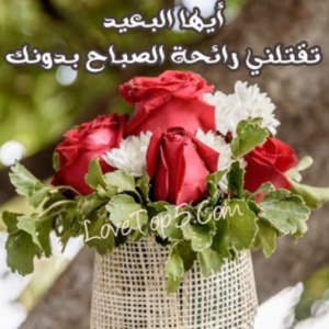 صباح الحب والشوق