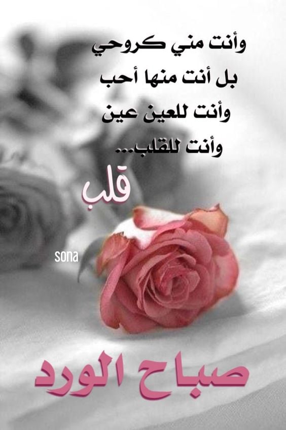 صباح الحب ياقلبي
