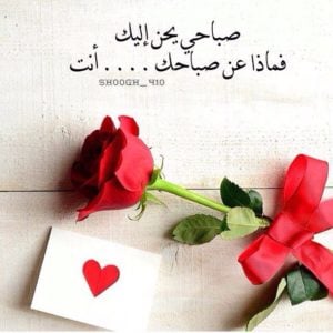 صباح الحب ياقلبي