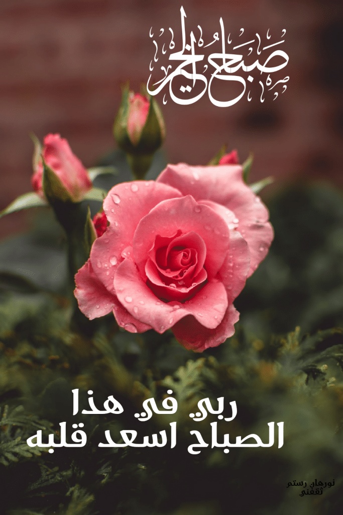 صباح الخير gif