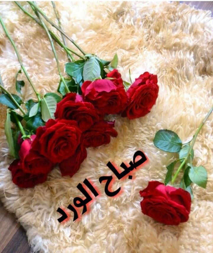 صباح الخير حبيبتي