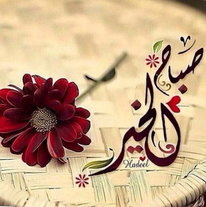 صباح الخير حبيبتي