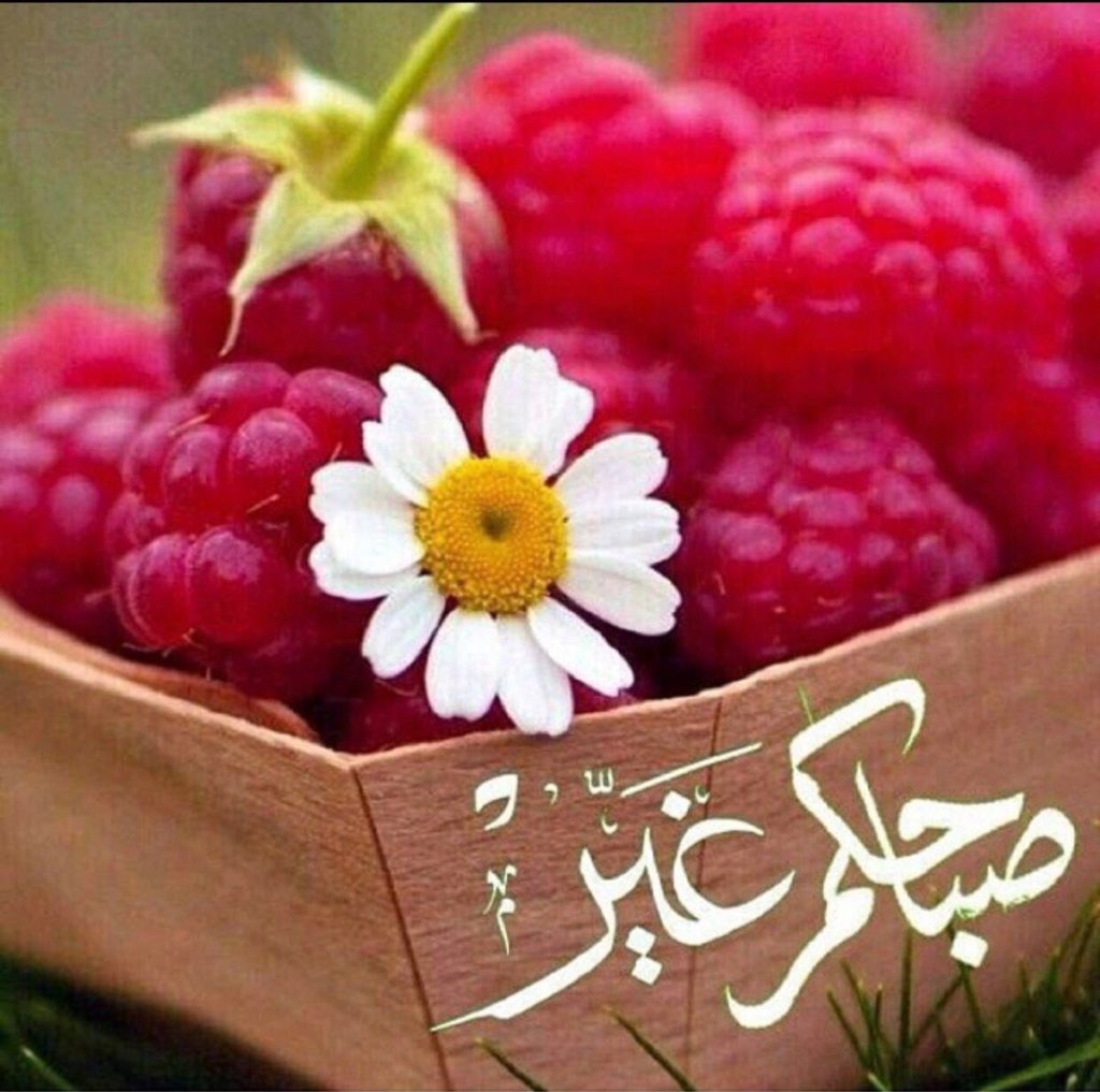 صباح الخير حبيبتي