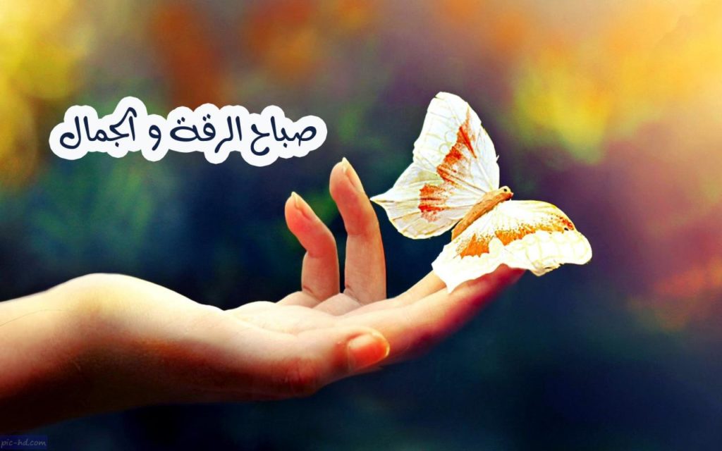 صباح الخير حبيبي