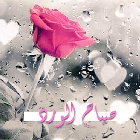 صباح الخير رومانسية