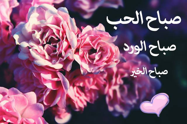 صباح الخير