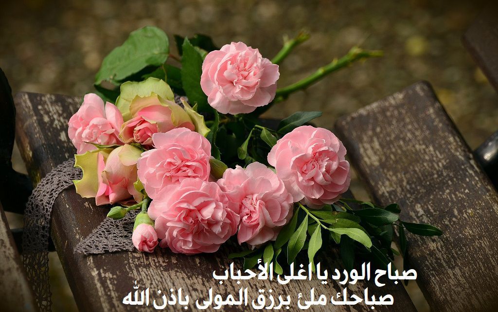 صباح الخير
