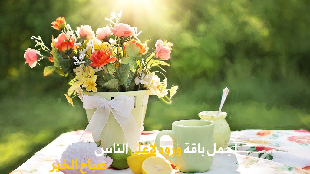 صباح الخير