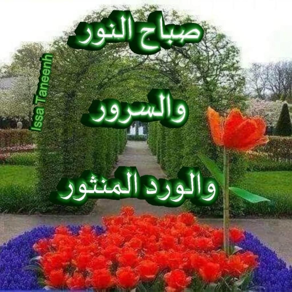 صباح النور والسرور والورد المنثور