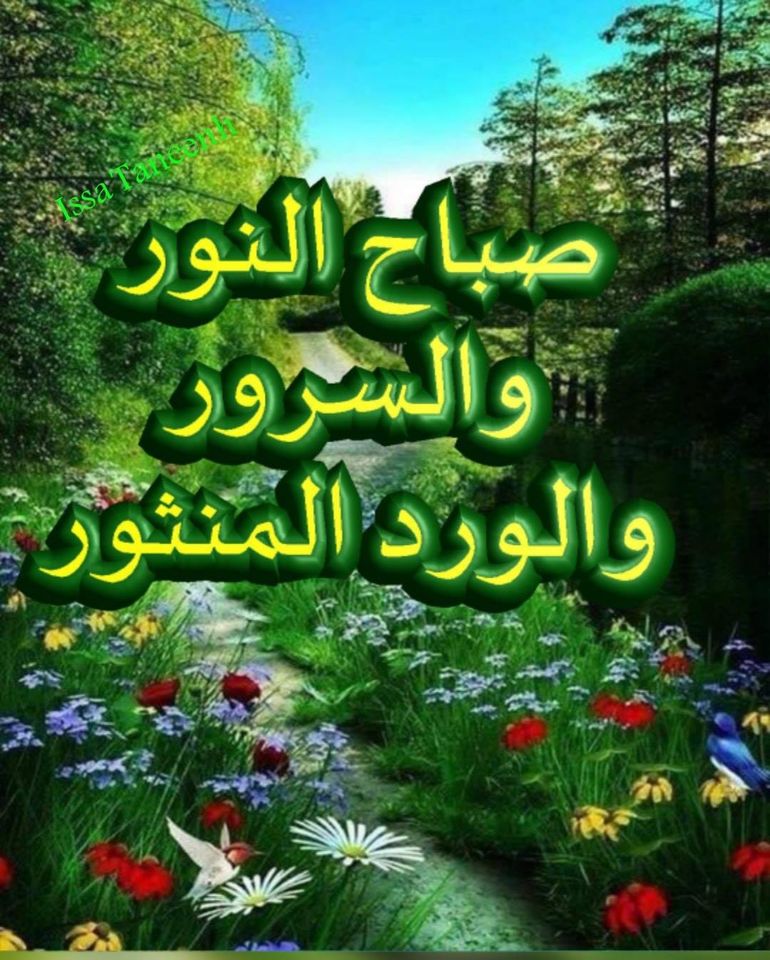 صباح النور والسرور والورد المنثور