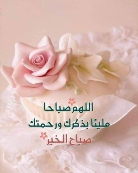 صباح النور والسرور والورد المنثور