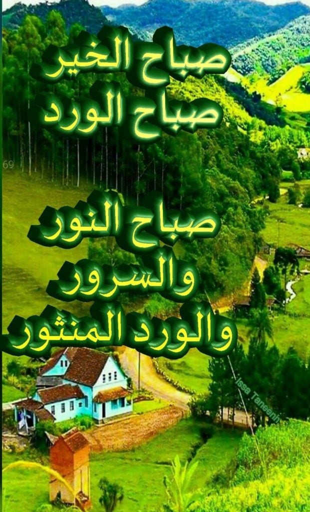 صباح النور والسرور والورد المنثور
