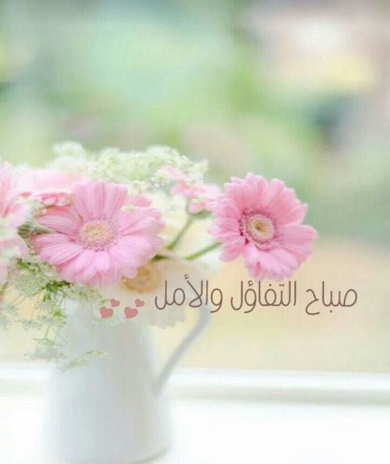 صباح النور والسعادة