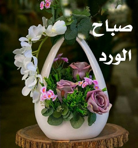 صباح النور والسعادة