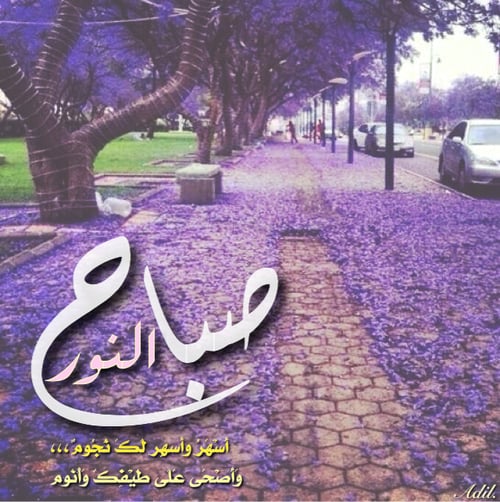 صباح النور والسعادة