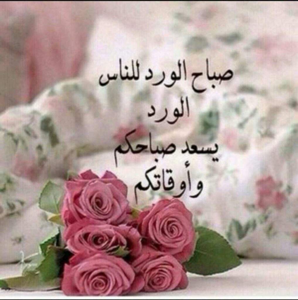 صباح الورد حبيبتي