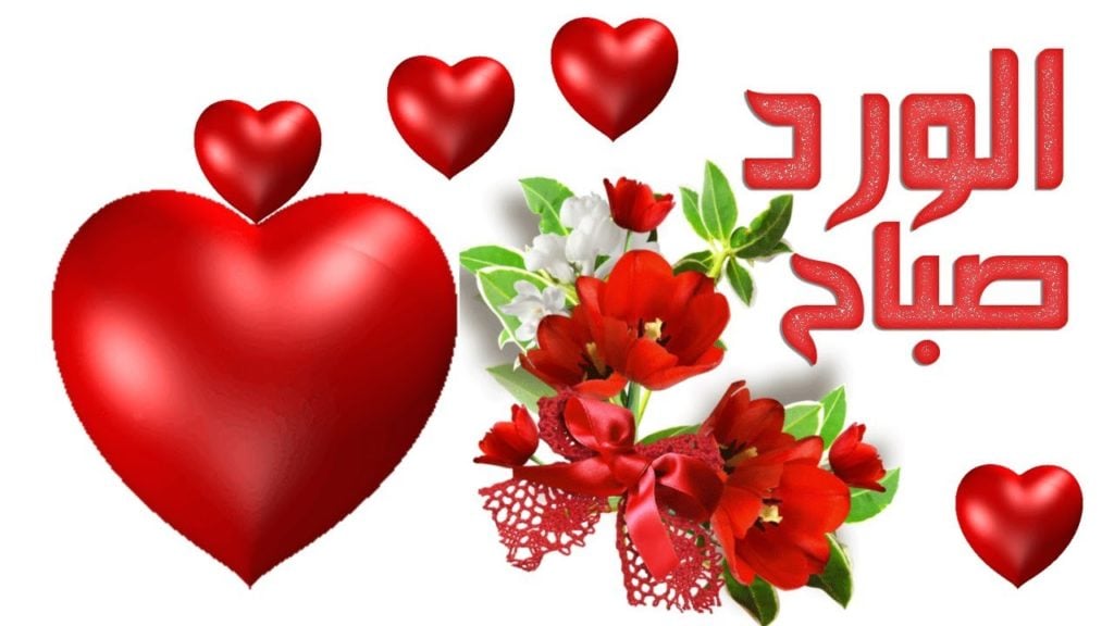 صباح الورد حبيبتي