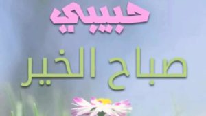 صباح الورد حبيبي