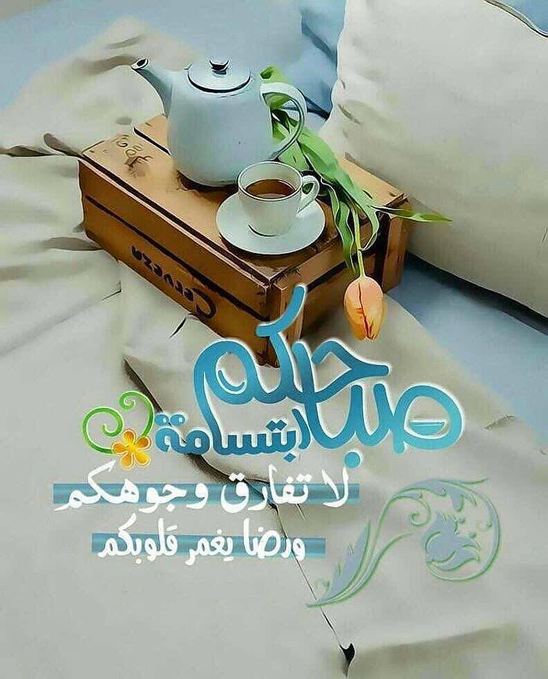 صباح الورد حبيبي