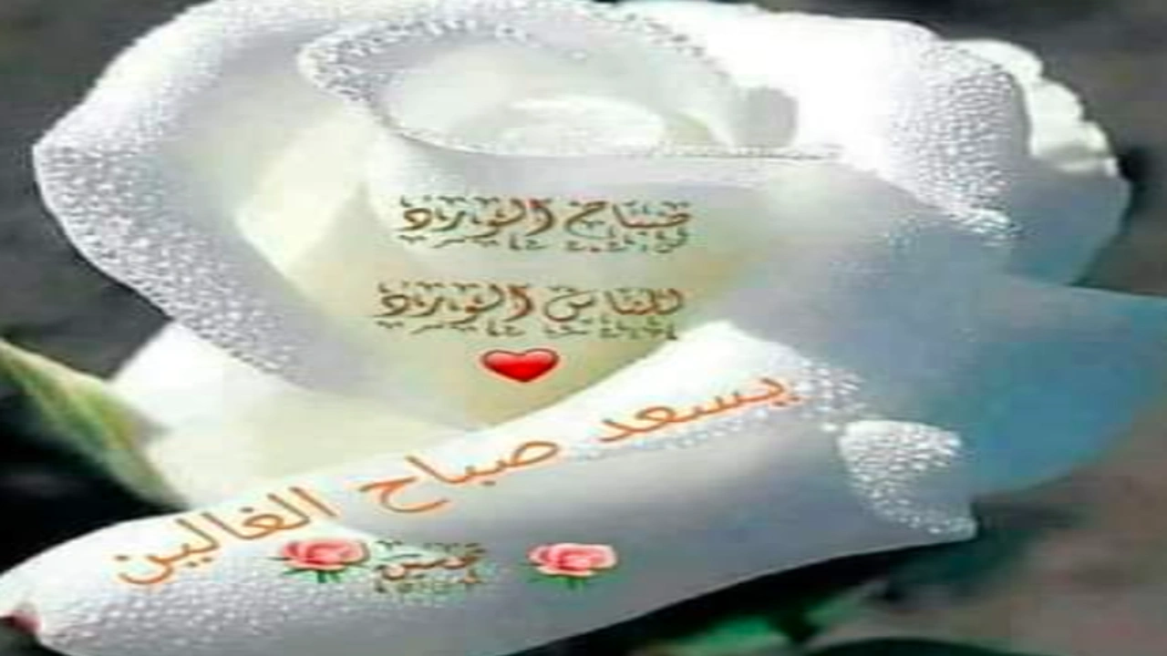 صورة صباح الورد للغاليين