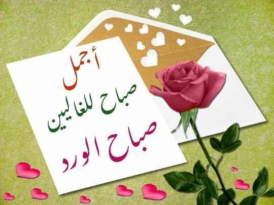 صباح الورد للغاليين