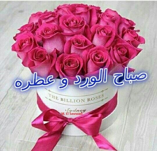صباح الورد للغاليين