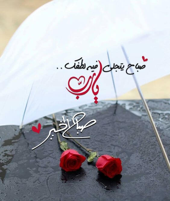 صباح الورد للغاليين