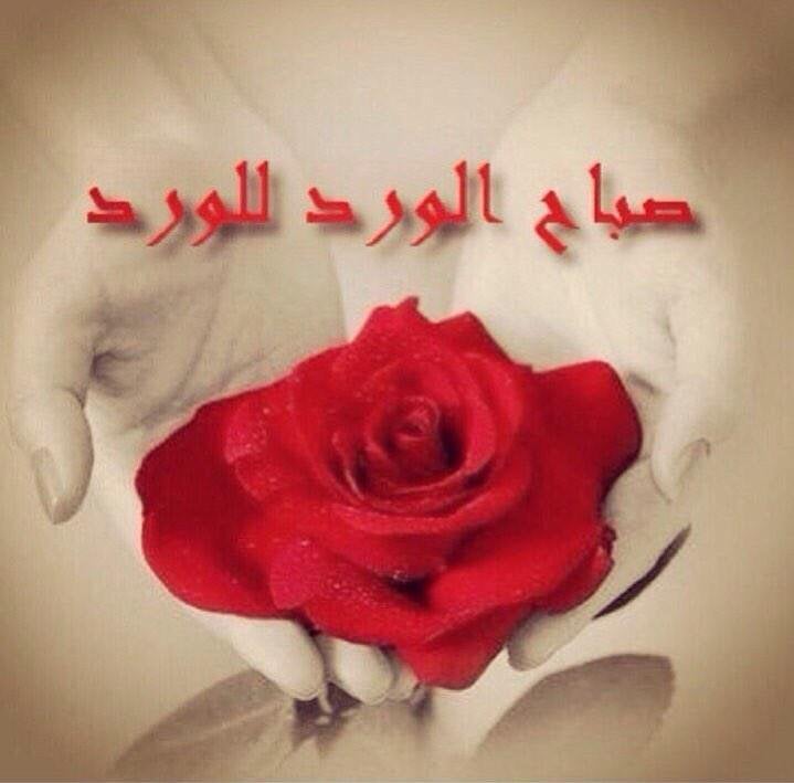 صباح الورد للورد