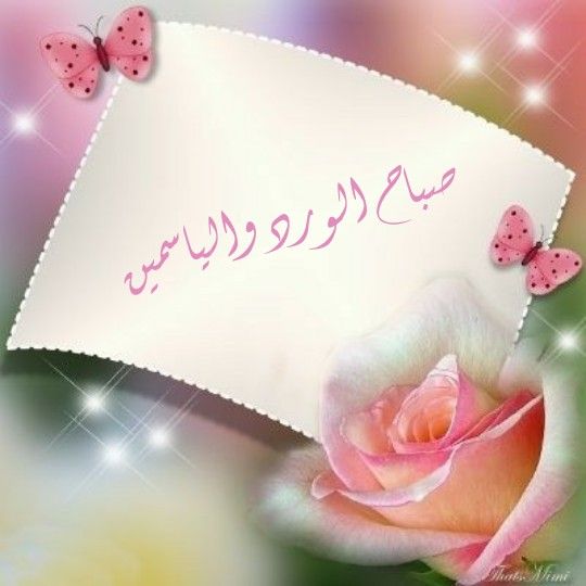 صباح الورد للورد