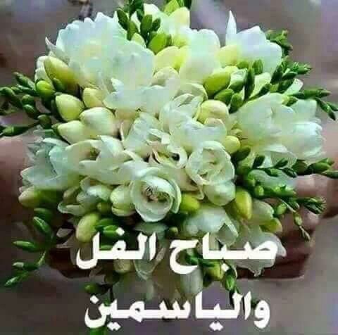 صباح الورد للورد