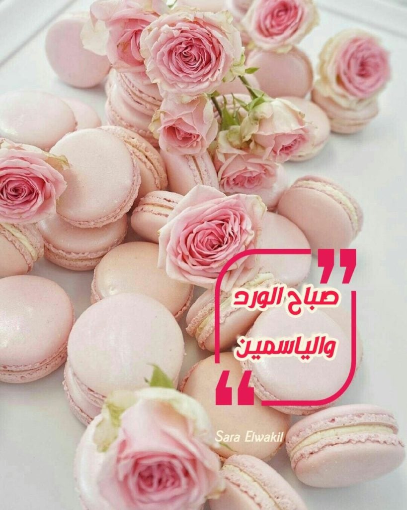 صباح الورد والحب