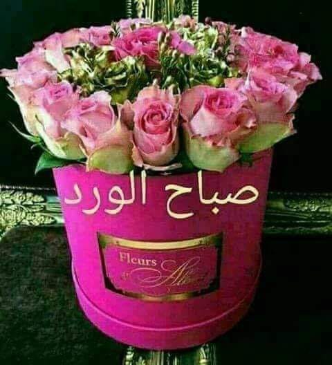صباح الورد والفل والياسمين