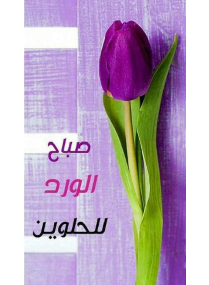 صباح الورد والفل والياسمين
