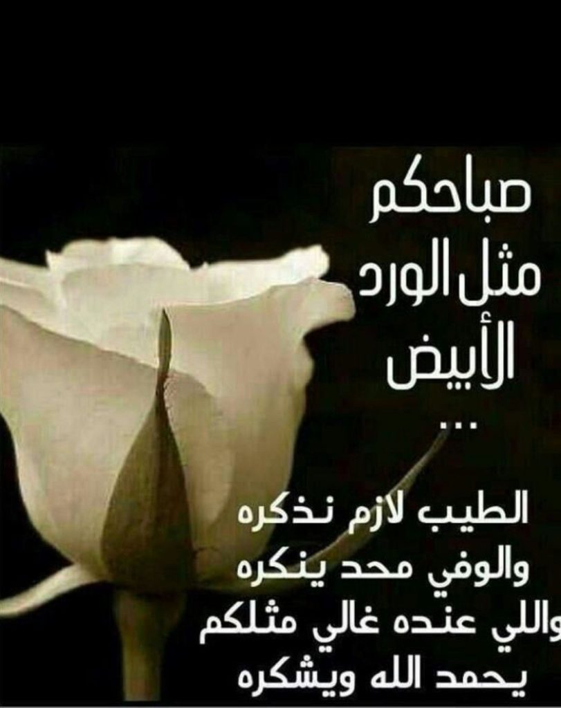 صباح الورد والياسمين حبيبتي