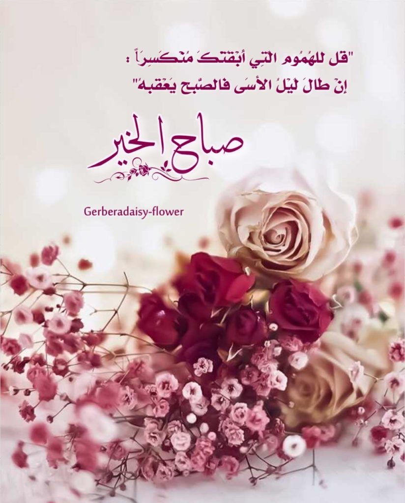 صباح الورد والياسمين حبيبتي