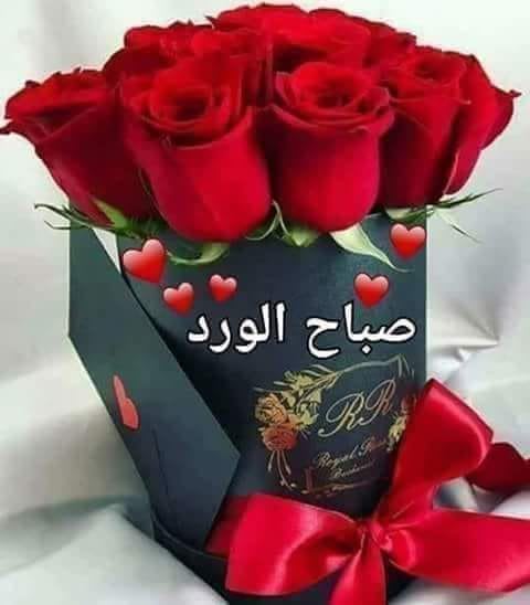 صباح الورد والياسمين حبيبتي