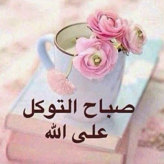 صباح الورد والياسمين حبيبتي