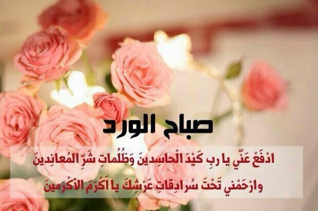 صباح الورد والياسمين صباح يسعد ويفرح الغالين