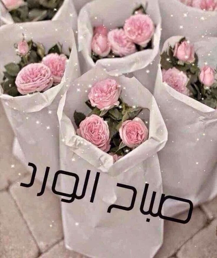 صباح الورد والياسمين صباح يسعد ويفرح الغالين