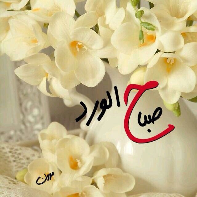 صباح الورد والياسمين صباح يسعد ويفرح الغالين