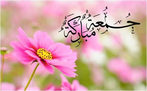 صباح الورود