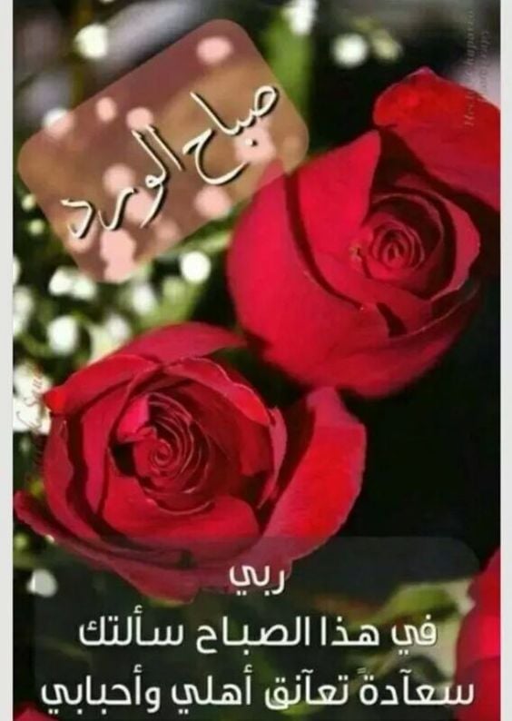 صباح الورود
